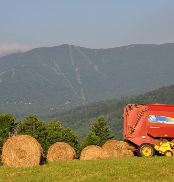 Rolling hay bales